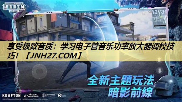 享受极致音质:学习电子管音乐功率放大器调校技巧! 享受极致音质:学习电子管音乐功率放大器调校技巧!