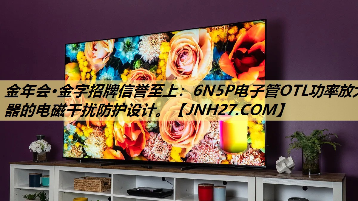 6N5P电子管OTL功率放大器的电磁干扰防护设计。