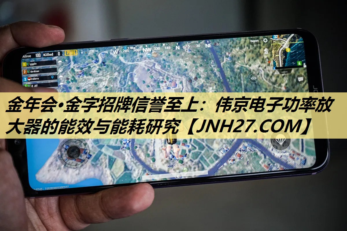 伟京电子功率放大器的能效与能耗研究 伟京电子功率放大器的能效与能耗研究