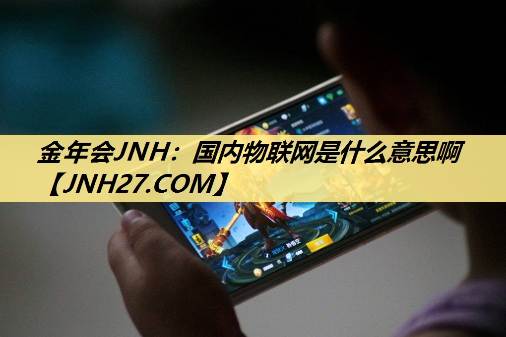 国内物联网是什么意思啊 国内物联网是什么意思啊