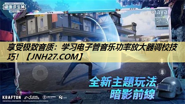 享受极致音质:学习电子管音乐功率放大器调校技巧! 享受极致音质:学习电子管音乐功率放大器调校技巧!